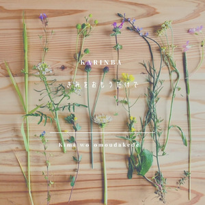 きみをおもうだけで