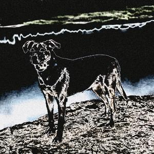 after chabon pos pan el pibe que vino despues