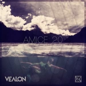 Amice 2.0