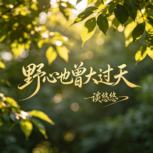 野心也曾大过天(柔情女版)