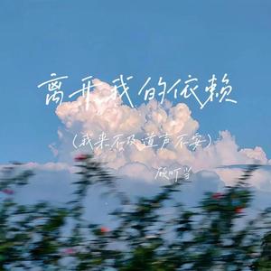 离开我的依赖 (DJ 版)