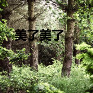 痴情的我犯下痴情的错