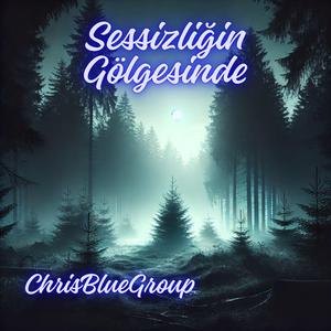 Sessizliğin Gölgesinde