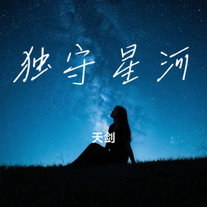 独守星河