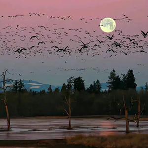 人生态度-王七七