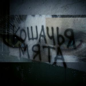 Кошачья мята