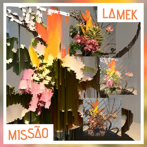 Missão