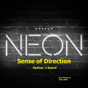 Run Extended Final (Peter Mills Remix)