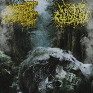 necrotizing hookers from the jungle