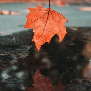00010