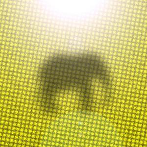 A Wild and Despondant Correspondant (Instrumental)