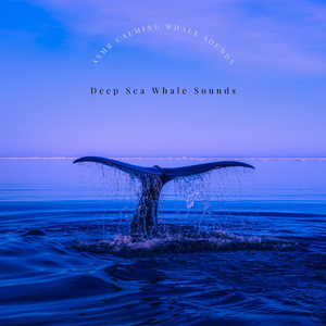 The Summer Whale Songs