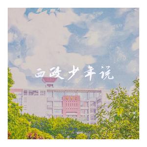 西政少年说