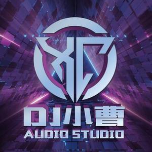 如果爱忘了 (DJ小曹 Remix)