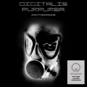 Crittodream (Water Lilies Version) (Radio Edit)
