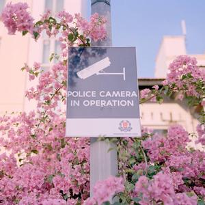 ---SoSo---- - 喜欢你喜欢我cover马嘉祺