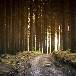 Люби меня люби