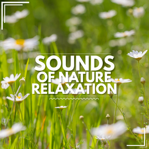 River Sound In Stereo