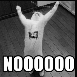 NOOOOOO (Live)