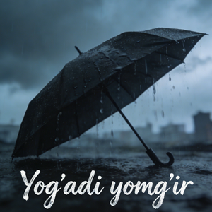 Yog'adi yomg'ir