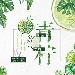 青柠（翻自 徐秉龙/桃十五）