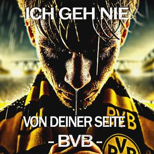 Ich geh nie von deiner Seite, BVB (Borussia Dortmund Song)
