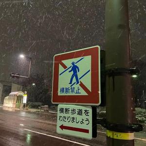 CAPPER(prod.Yn1Jasper)