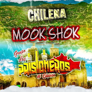 Chilena Mook Shok