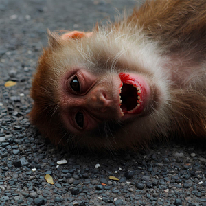 психологические игры