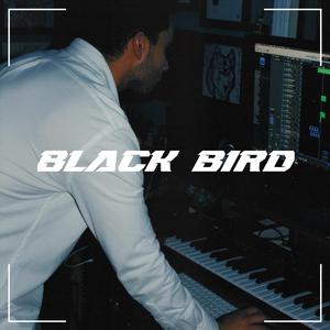 Black Bird