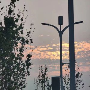 晨光如同我们相遇般美好