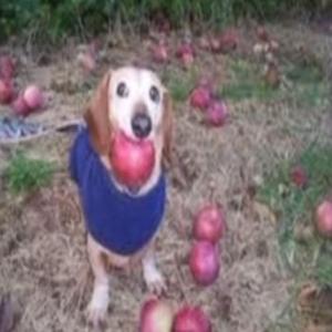 hasbro a hater (feat. hasbro)