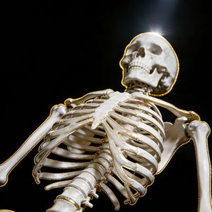 背叛者的墓志铭