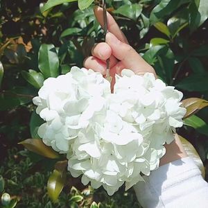 陌上花开