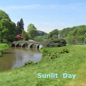 Sunlit Day