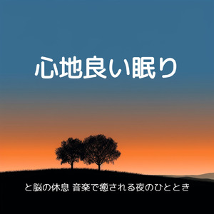 超熟睡アンビエント 自然な眠りを促す優しい音色