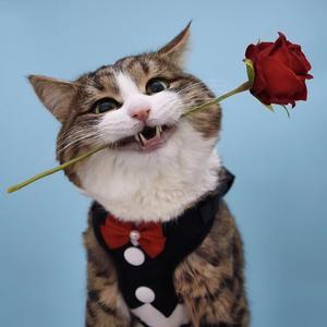 i was high as hell u caught me offguard