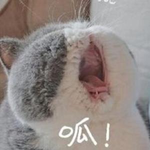 千灯愿—《天官赐福》（翻自 弦森）