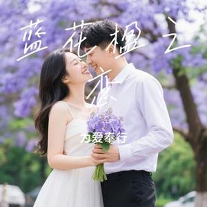蓝花楹之恋 (Cover 杨西音子)