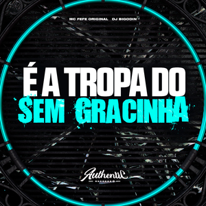 É a Tropa do Sem Gracinha