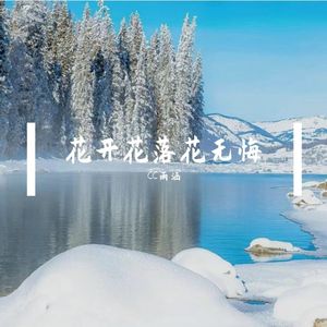 没有一夜长大的树