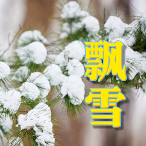 飘雪