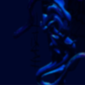 the singer no one hears