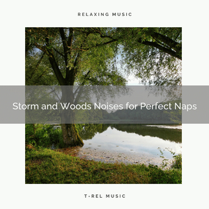 Storm and Woods Whispers for Total Relax