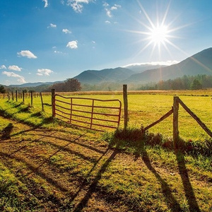 like a farmer (prod. gren8)