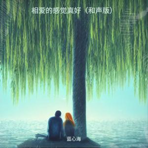 相爱的感觉真好（和声版）