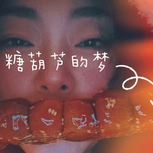 糖葫芦的梦