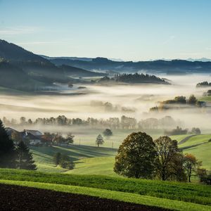 清风徐来 (古筝冥想)