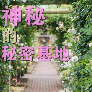 算了算了算了吧