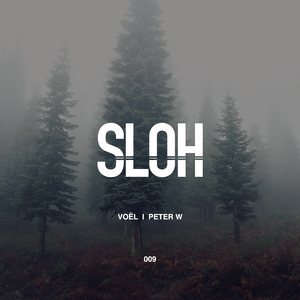 Forest Ritual (Original Mix)